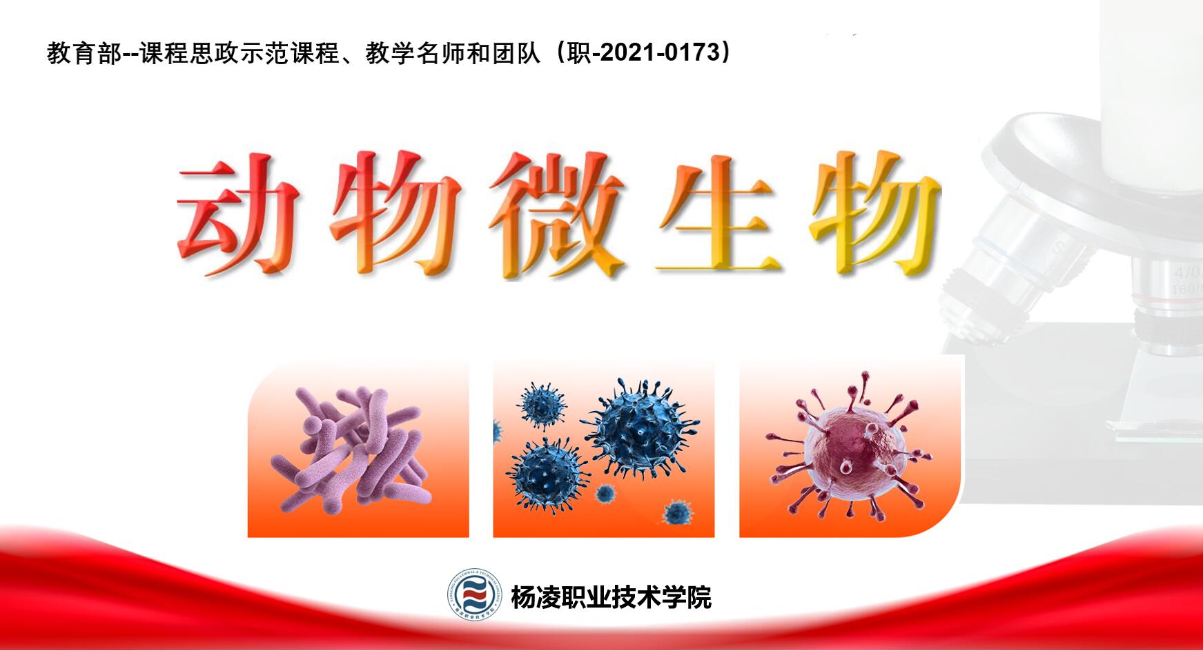 动物微生物（第十期）课程封面