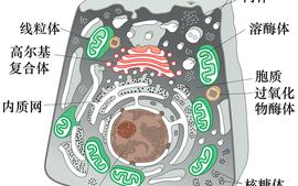 细胞生物学（2023）课程封面