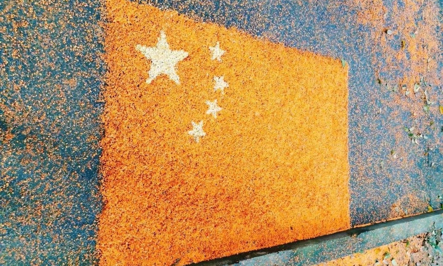 宪法学（辅修24年秋学季）课程封面
