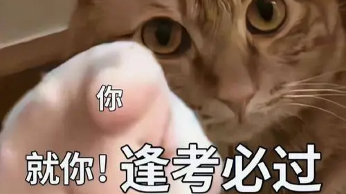 期末复习课程封面