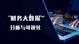[公开课]财务大数据分析与可视化课程封面