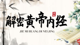 解密黄帝内经课程封面