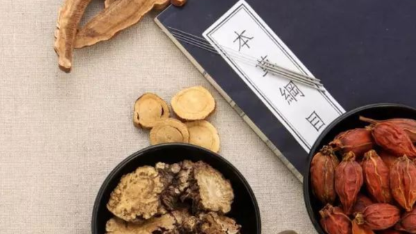 医学专业英语-中医英语课程封面