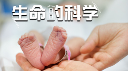 生命的科学课程封面