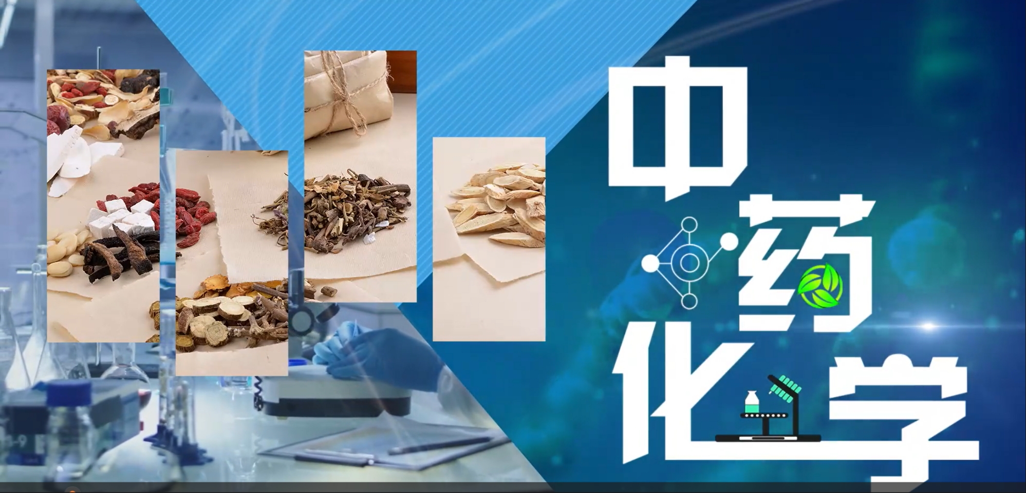 中药化学（2024秋）课程封面