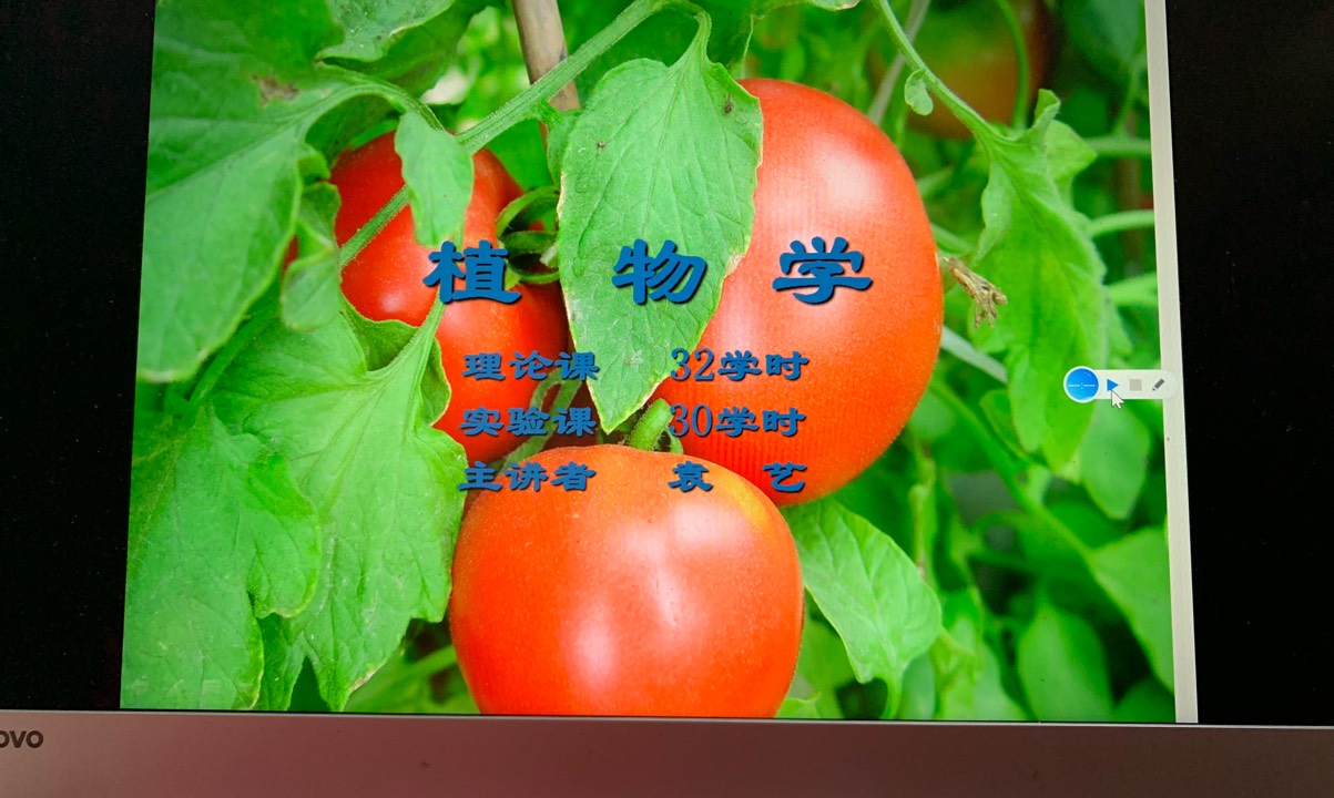 植物学课程封面
