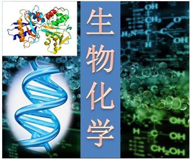 生物化学课程封面