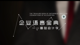 企业语言宝典——基础会计学课程封面