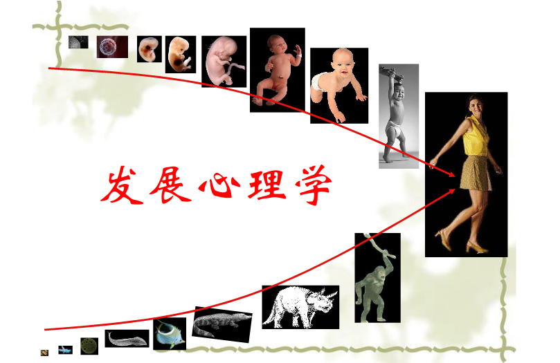 发展心理学课程封面