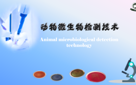 《动物微生物检测技术》（第十二期开课）课程封面
