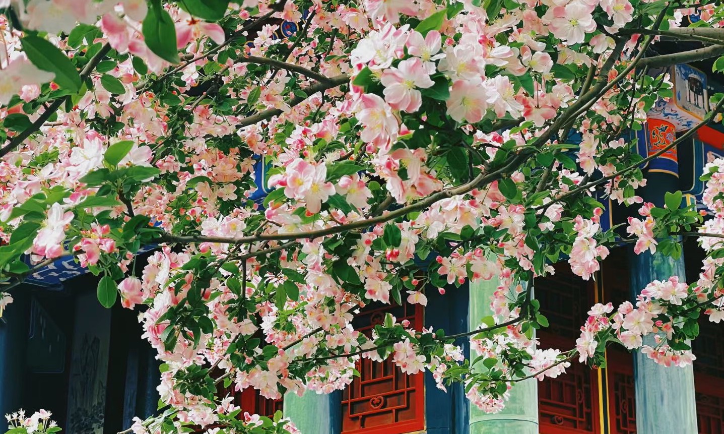 沟通与写作课程封面