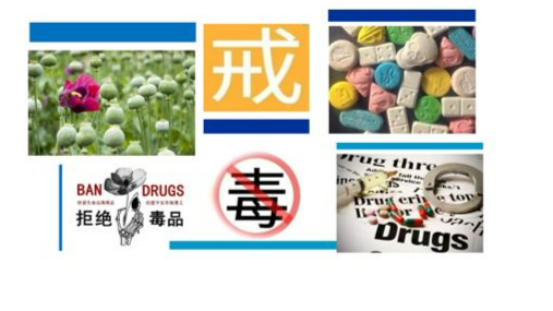 强制隔离戒毒基础理论课程封面