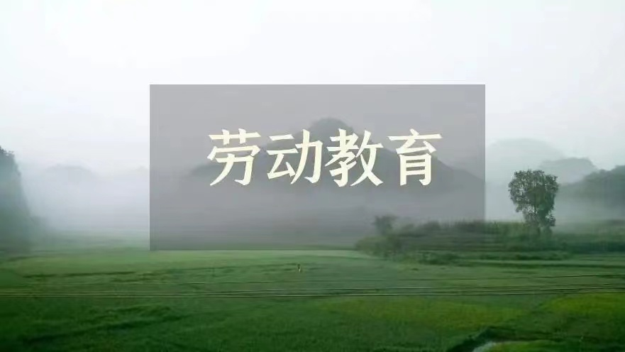 劳动教育课程封面