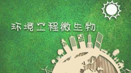 环境工程微生物课程封面