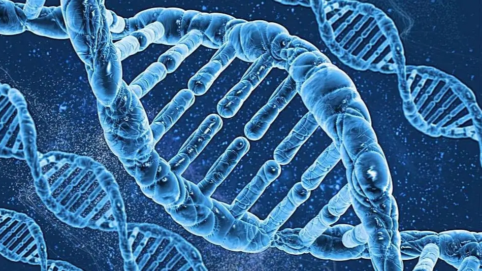 分子生物学课程封面
