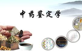 2021级中药鉴定学课程封面