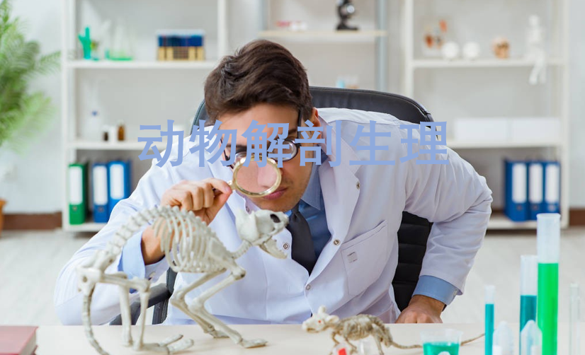动物解剖生理课程封面