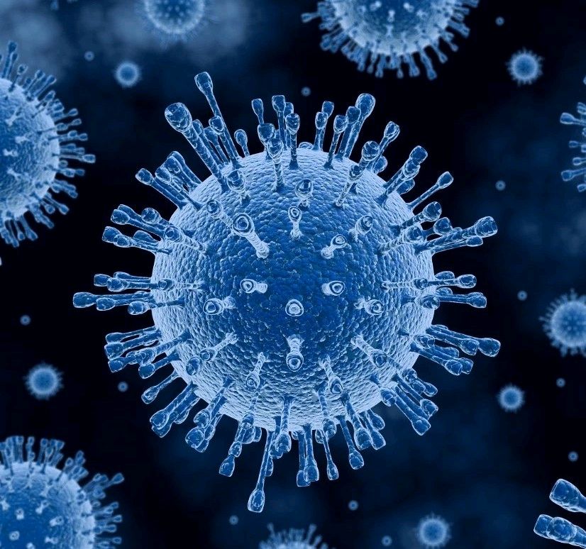 病原生物与免疫学课程封面