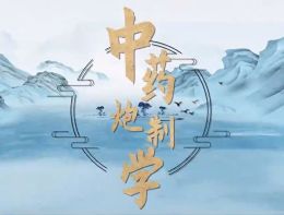中药炮制学课程封面