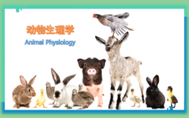 动物生理学课程封面
