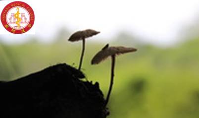厚德精术  护理学基础  课程思政示范课课程封面