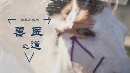 [公开课]兽医之道课程封面