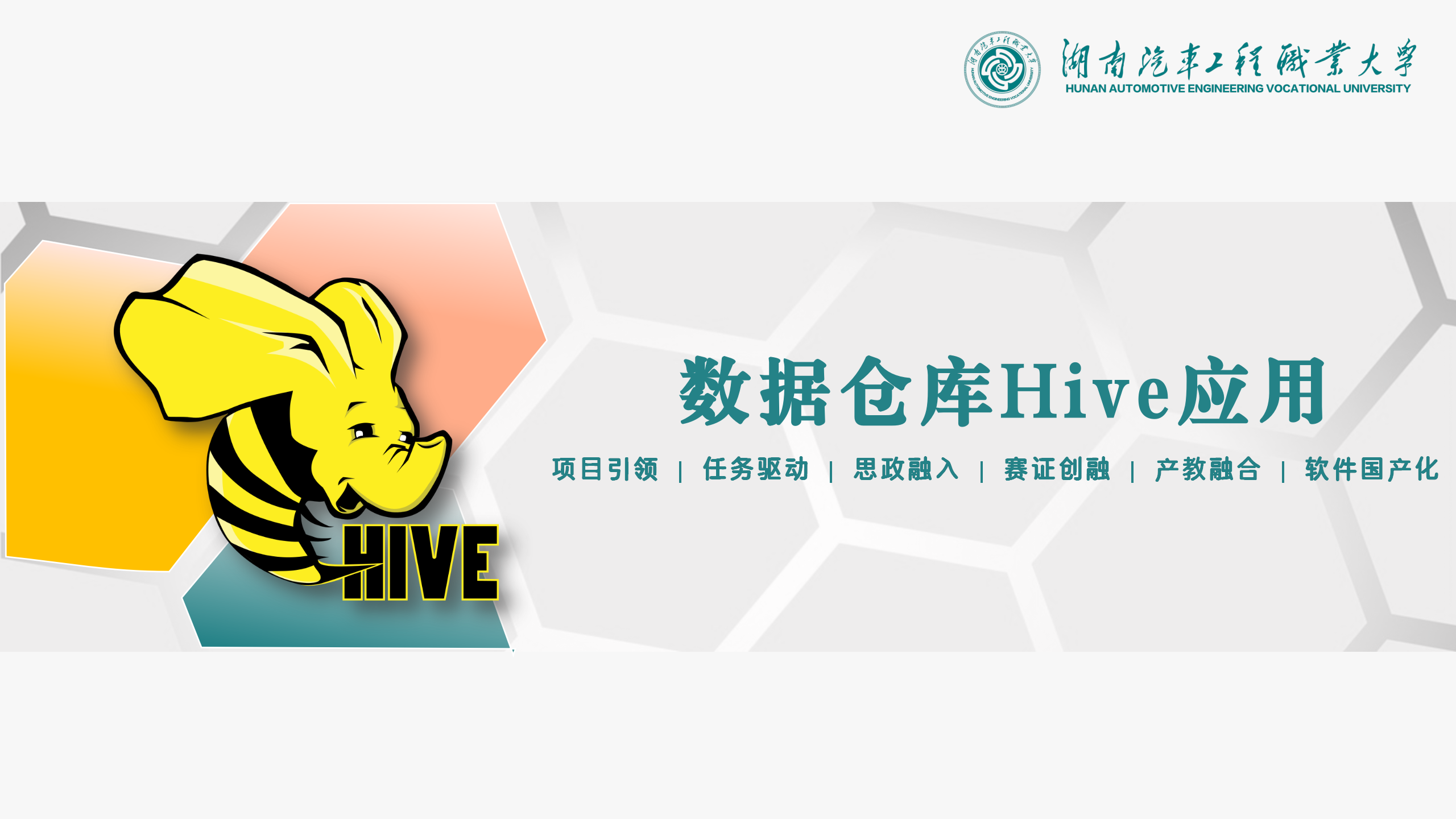 数据仓库Hive应用（第五期）课程封面