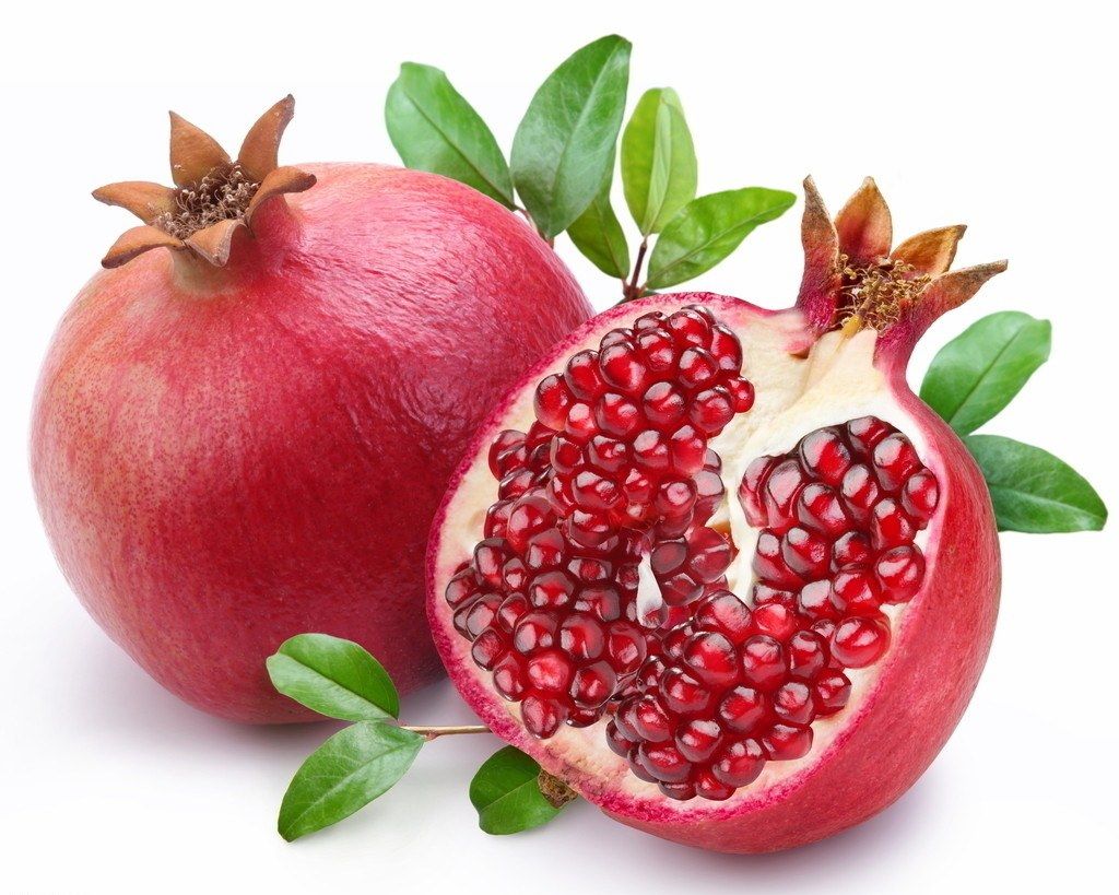 物理课程封面