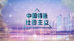 中国特色社会主义课程封面