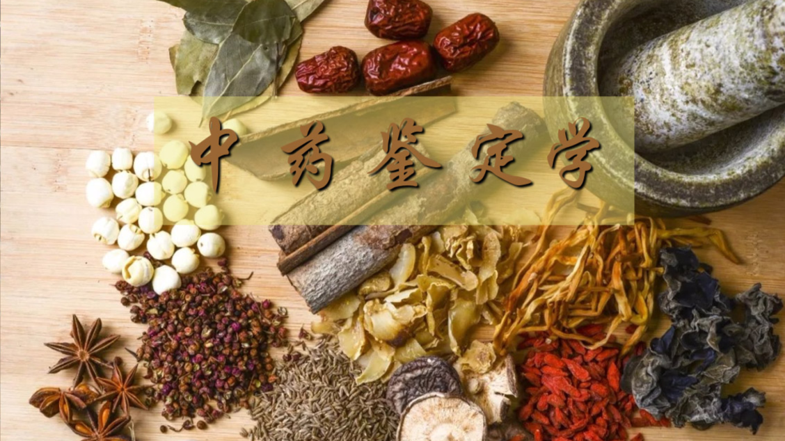 中药鉴定学课程封面