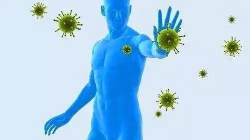 免疫学与病原微生物学课程封面