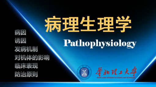 病理生理学B课程封面
