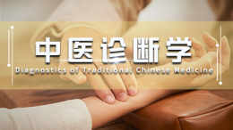 中医诊断学课程封面