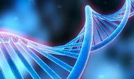 生物化学课程封面