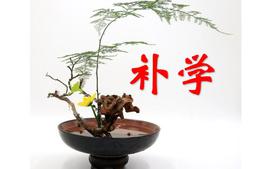 艺术插花与花店管理  19级   22-23下  补学课课程封面