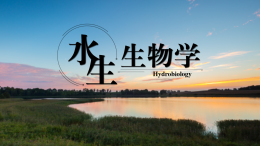 水生生物学（湖南文理学院）课程封面