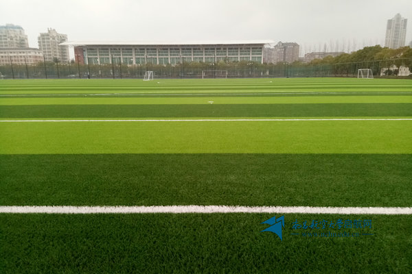 大学体育（线上）课程封面