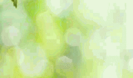 流行病学(执业医师考试)课程封面