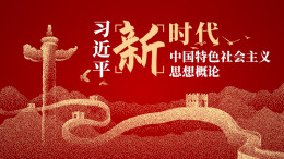习近平新时代中国特色社会主义思想概论课程封面