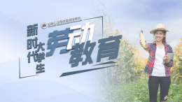 新时代大学生劳动教育课程封面