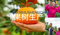 果树生产课程封面