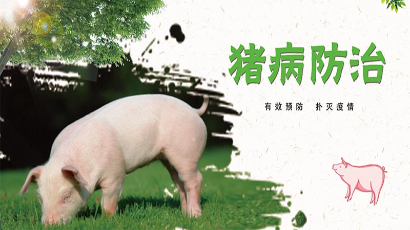 妊娠母猪,产死胎或弱仔,弱仔运动失调,角弓反张.剖检死胎可见肝脏有灰白... - 猪病防治单选题练习题