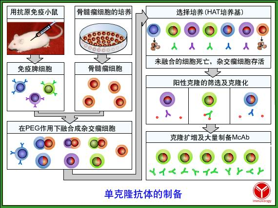 细胞生物学-001课程封面