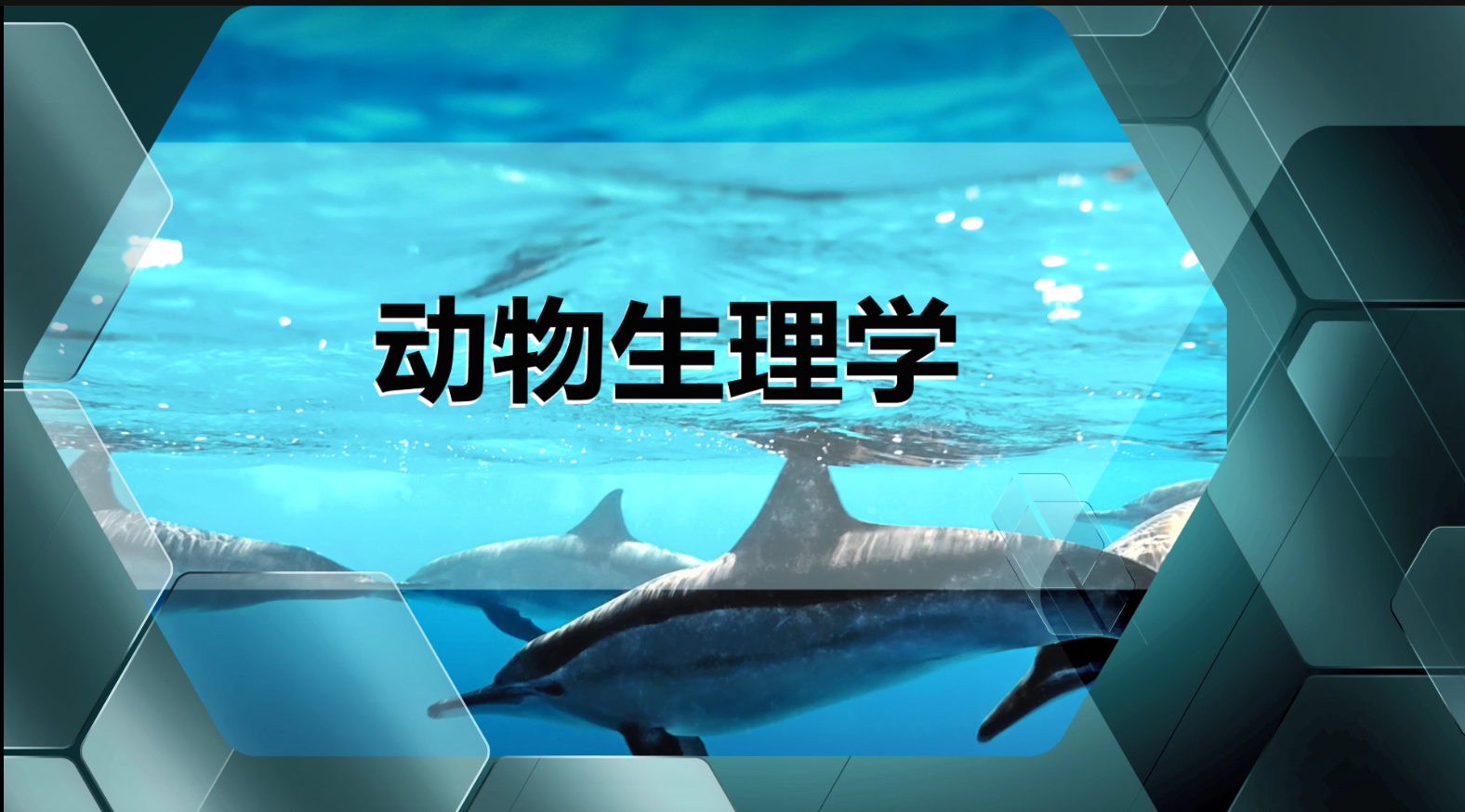 动物生理学课程封面