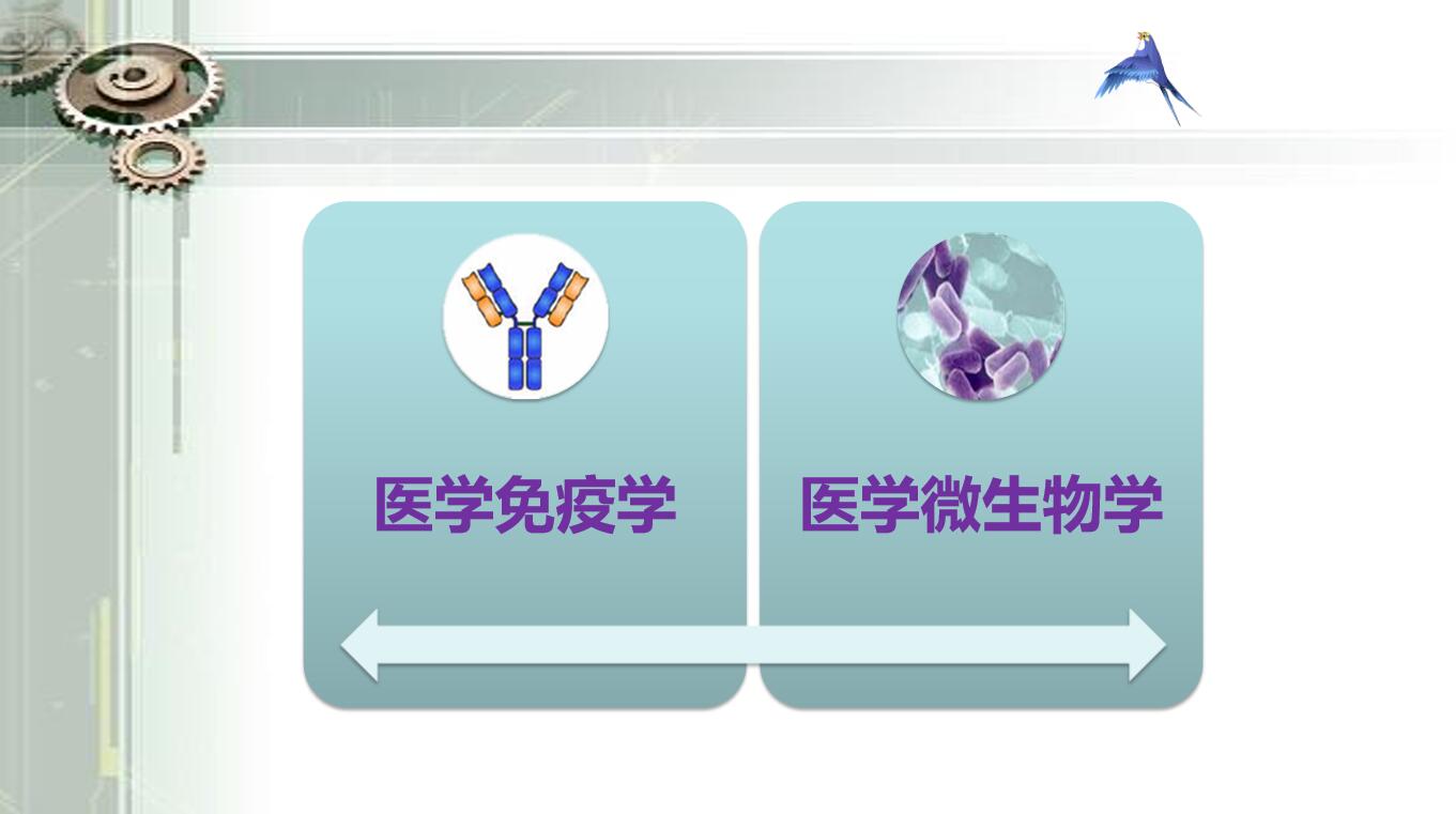 病原生物与免疫学（专科）2022课程封面