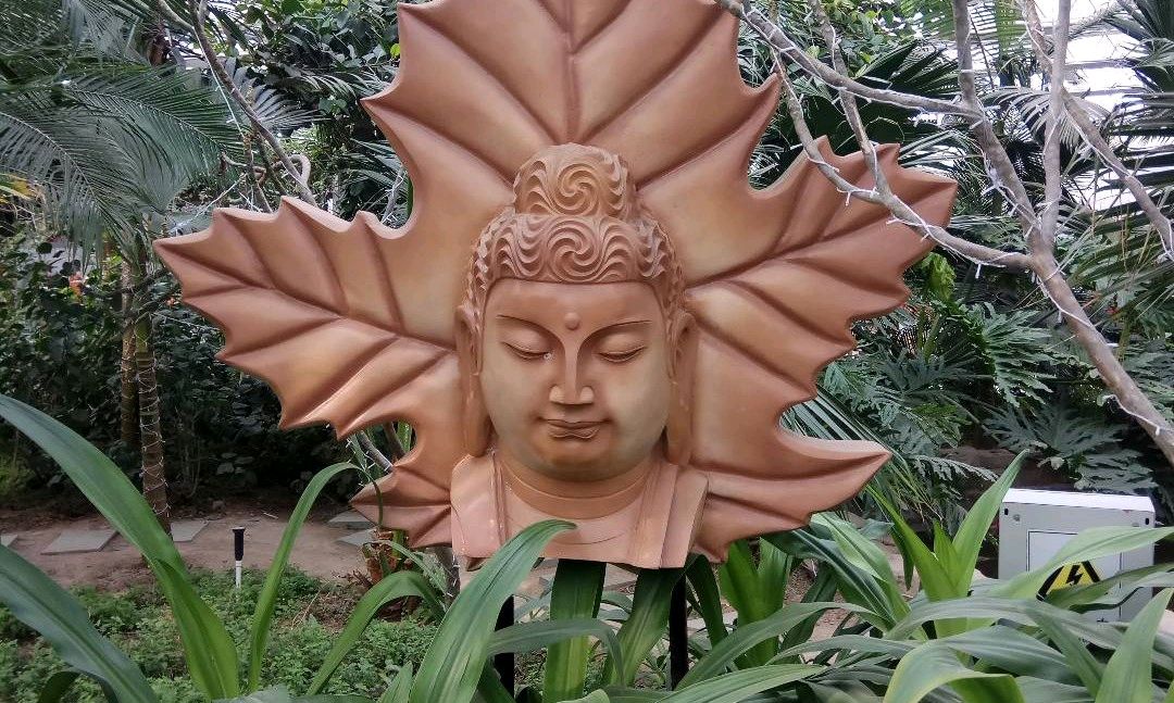 中药商品学课程封面