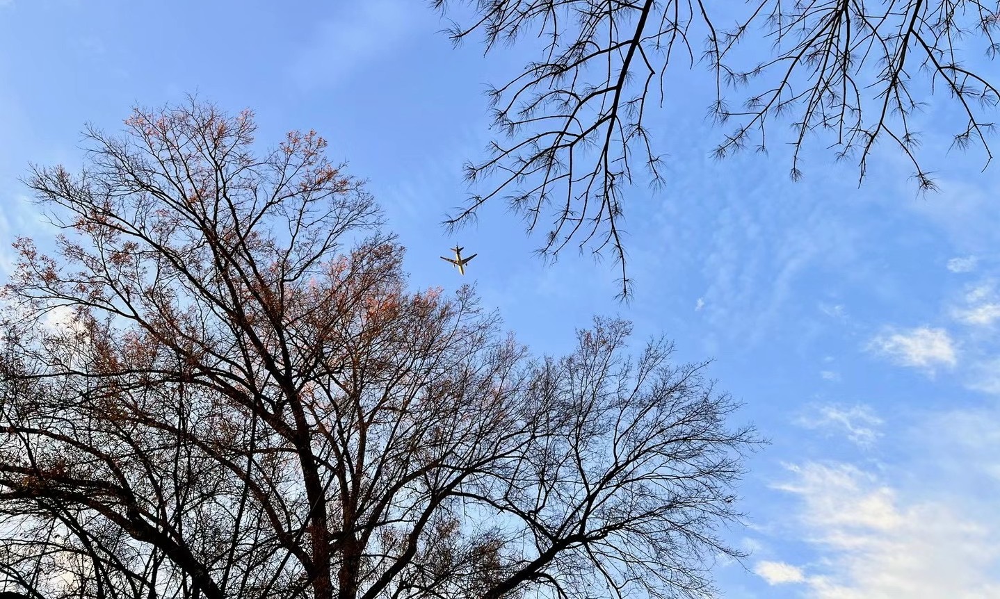 概率论与数理统计课程封面