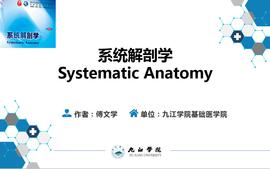 系统解剖学-本科课程封面