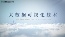 大数据可视化技术课程封面