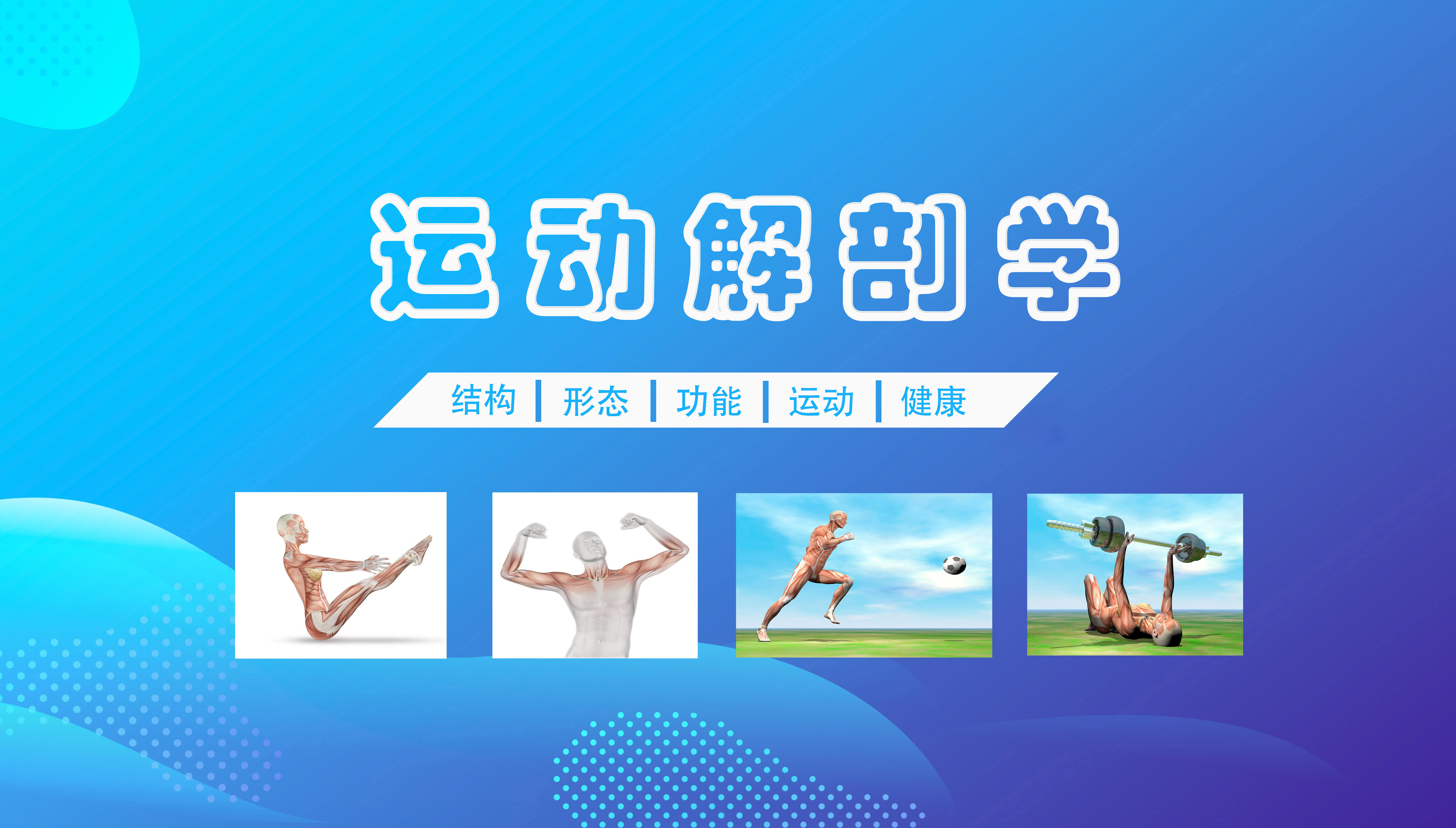 运动解剖学课程封面